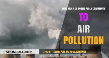 Fossil Fuels: Major Air Polluters?