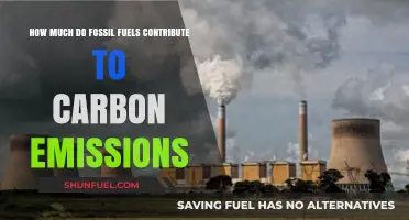 Fossil Fuels: Major Carbon Emitters?