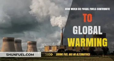 Fossil Fuels' Impact on Global Warming Revealed