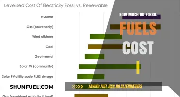 The True Cost of Fossil Fuels