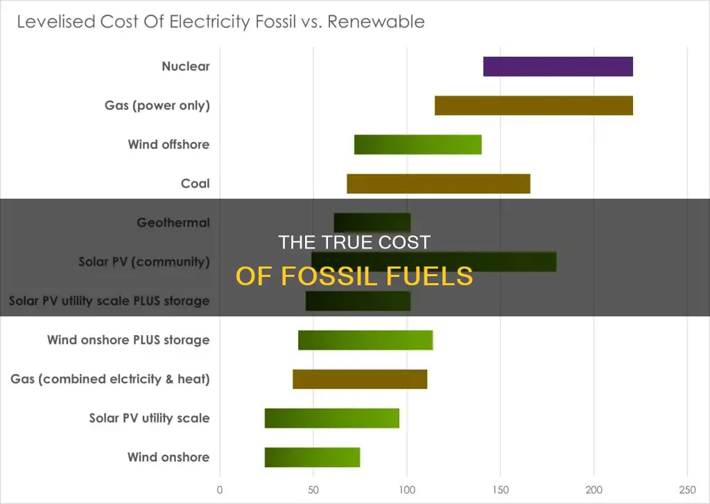 how much do fossil fuels cost i