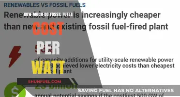 Fossil Fuels: The True Cost of Energy Production