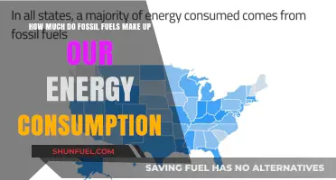 Fossil Fuels: Energy Consumption's Dark Underbelly