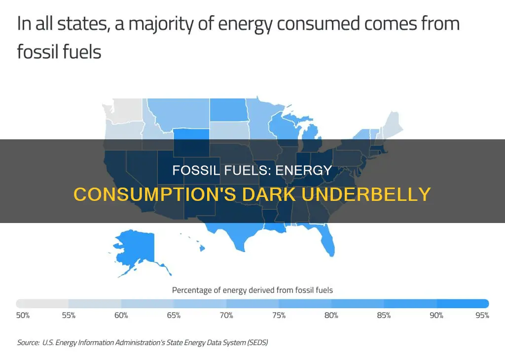 how much do fossil fuels make up our energy consumption