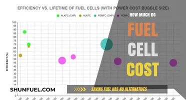 Fuel Cell Cost: What's the Price Tag?