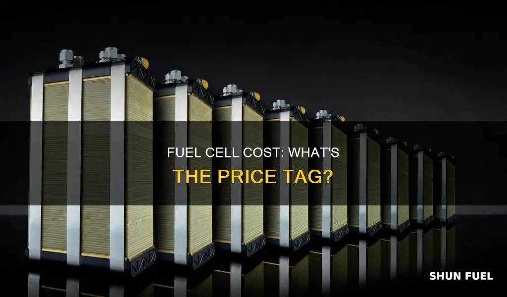 how much do fuel cell cost