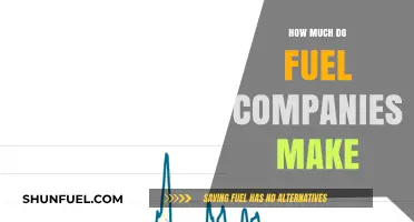 Fuel Companies: Making Billions Off Our Necessity