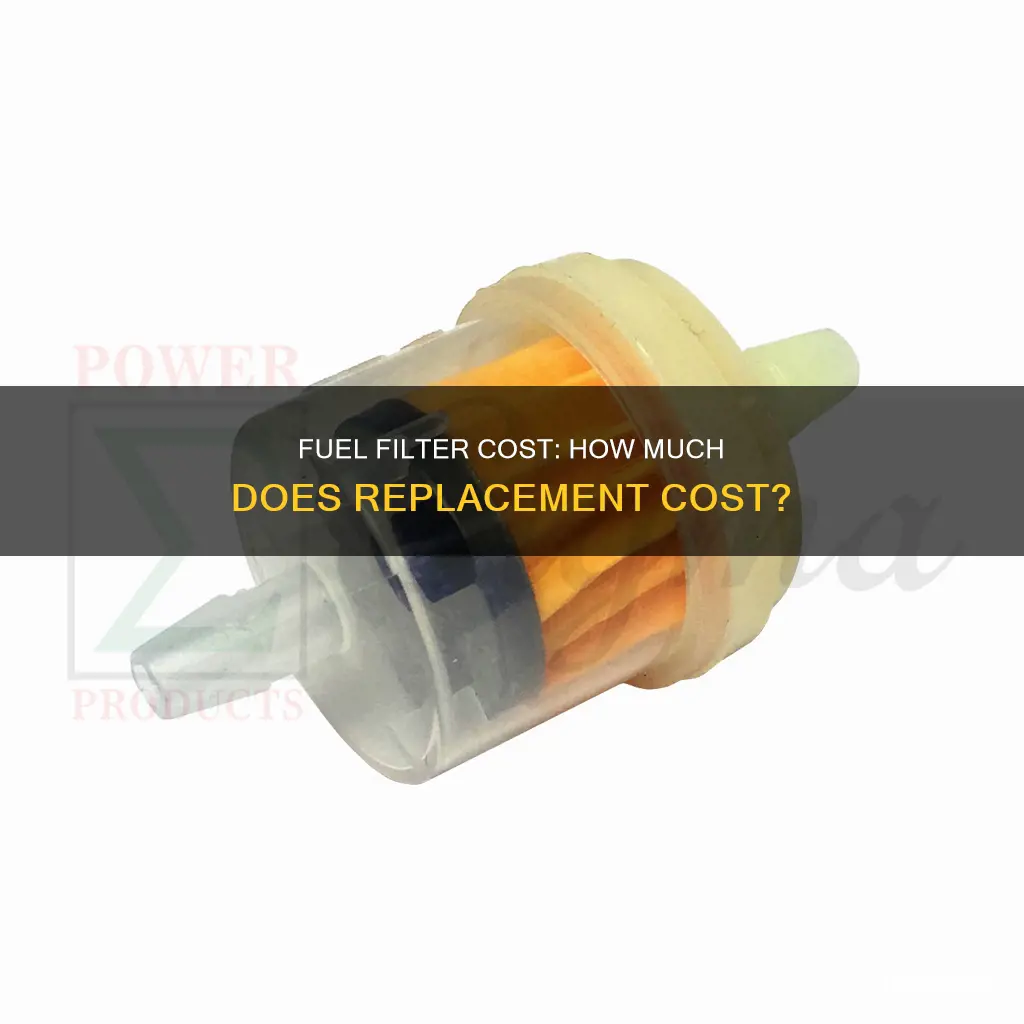 how much do fuel filters cost
