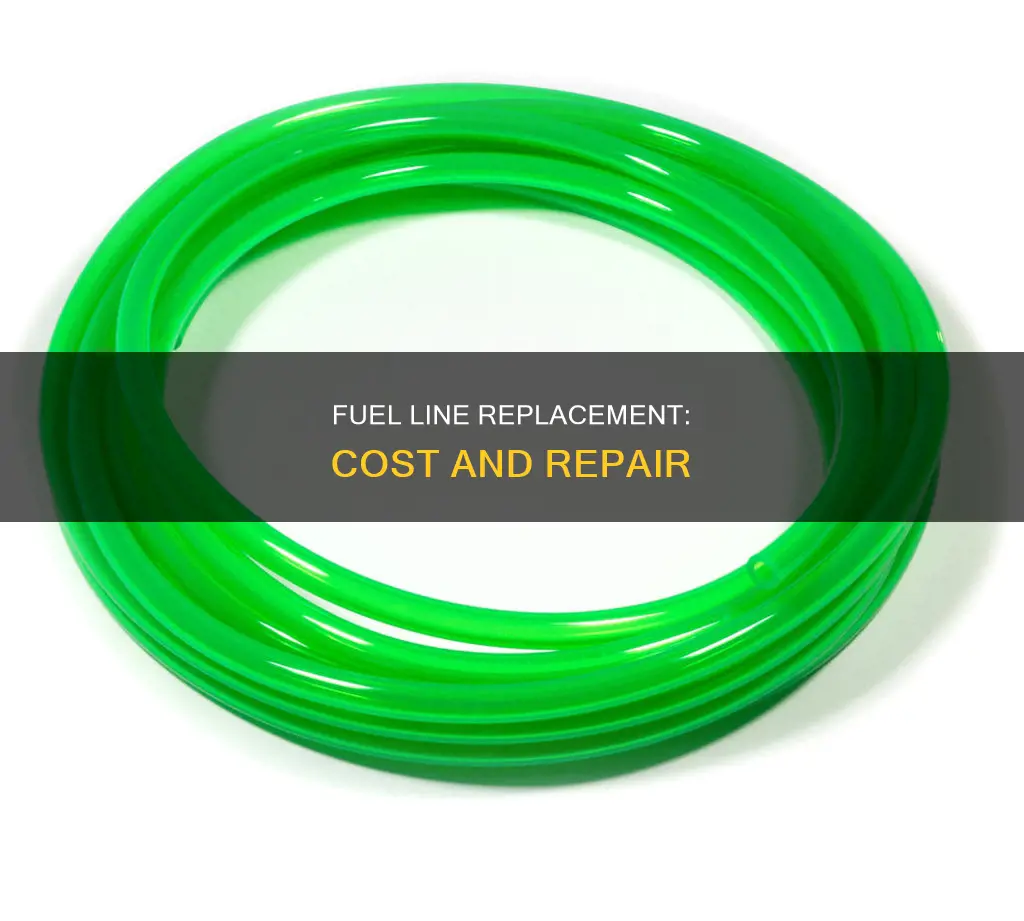 how much do fuel lines cost