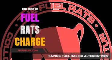 Fuel Rats: What's the Cost of Rescue?