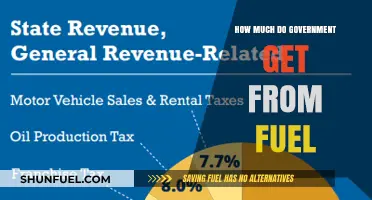 Revenue from Fuel: A Government's Gain