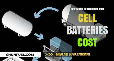 The Cost of Hydrogen Fuel Cell Batteries: An Overview