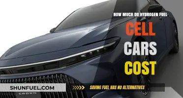 Hydrogen Fuel Cell Cars: Expensive to Own?