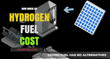 Hydrogen Fuel Costs: What's the Price Tag?