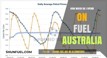 Fuel Costs: Australia's Expensive Reality