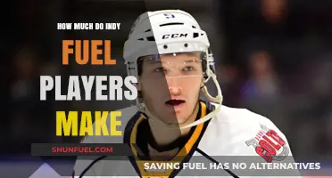 Indy Fuel Players: Salary Insights