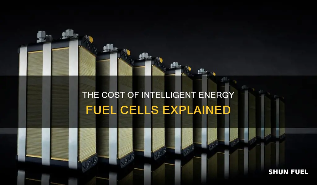 how much do intelligent energy fuel cells cost