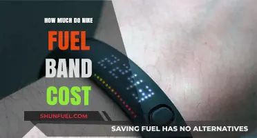 The Nike Fuel Band: Cost and Features