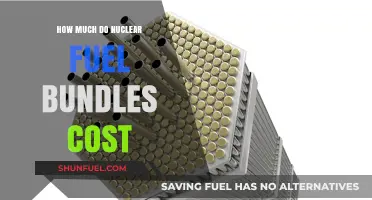 Nuclear Fuel Bundles: What's the Cost?