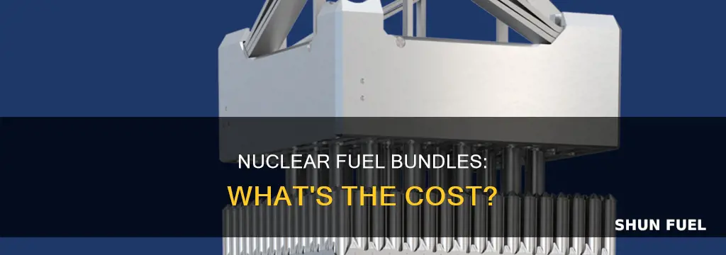 how much do nuclear fuel bundles cost