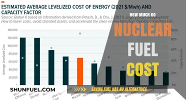 Nuclear Fuel: The Cost of Powering Our World