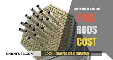 The High Cost of Nuclear Fuel Rods
