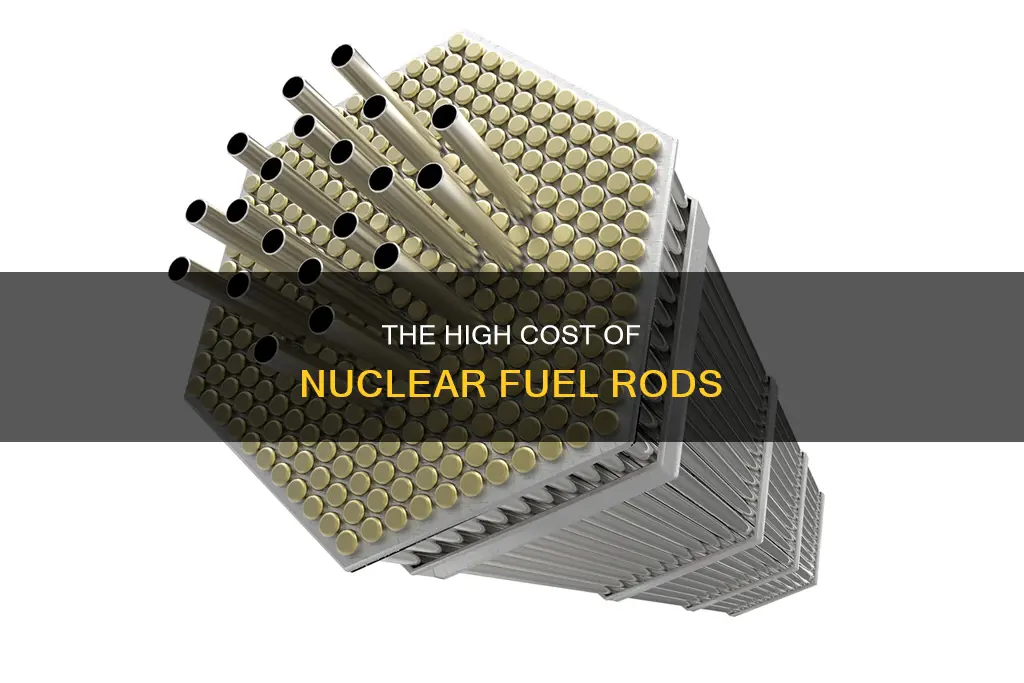 how much do nuclear fuel rods cost