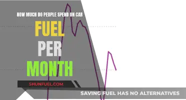 Monthly Fuel Costs: How Much Do You Spend?