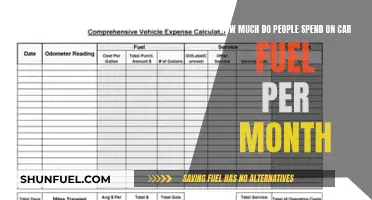 The Cost of Filling Up: Monthly Car Fuel Expenses