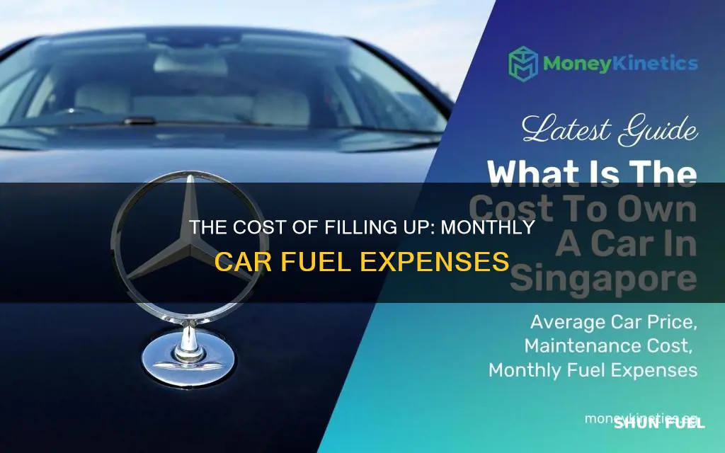 how much do people spend on car fuel per month