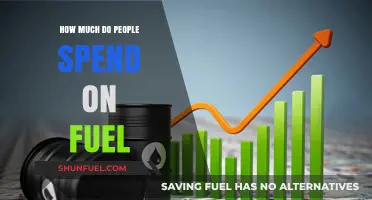 Fuel Spending: How Much is Too Much?