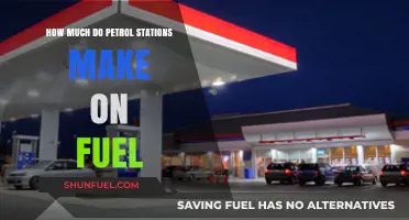 Understanding Petrol Stations: Fuel Profit Margins