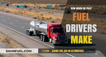 Lucrative Careers: Pilot Fuel Drivers' Salary Insights