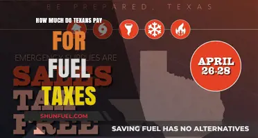 Texans' Fuel Tax Expenses: A Costly Affair