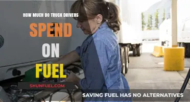 Truck Drivers' Fuel Expenses: How Much Does it Cost?