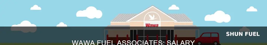 how much do wawa fuel associates make