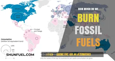 The Impact of Burning Fossil Fuels: Energy's Dark Side