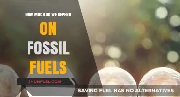 Fossil Fuels: Our Dependence and Its Impact