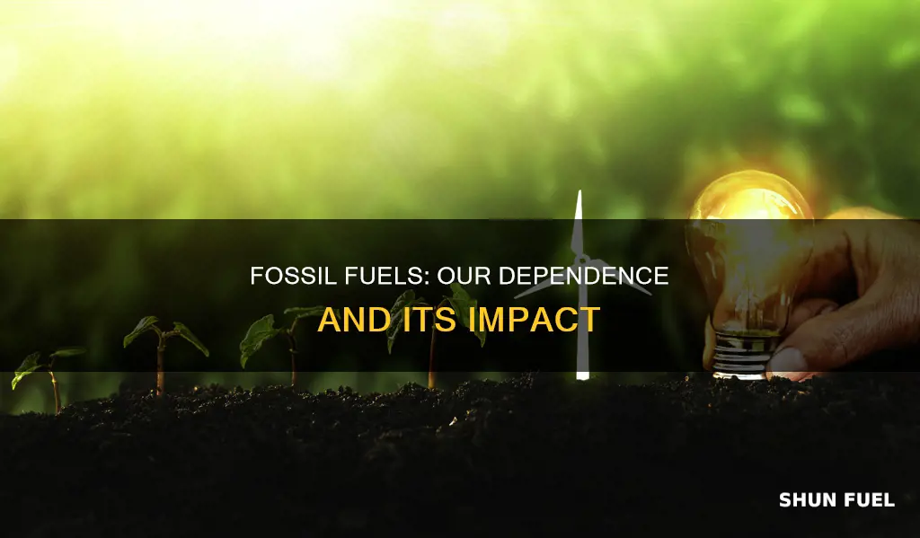 how much do we depend on fossil fuels