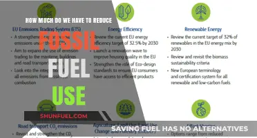 A Future Without Fossil Fuels: How Much Less?