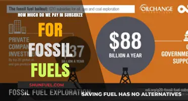 The True Cost of Fossil Fuel Subsidies