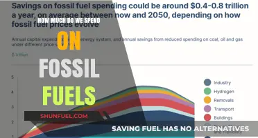 The Cost of Fossil Fuels: A Global Expense