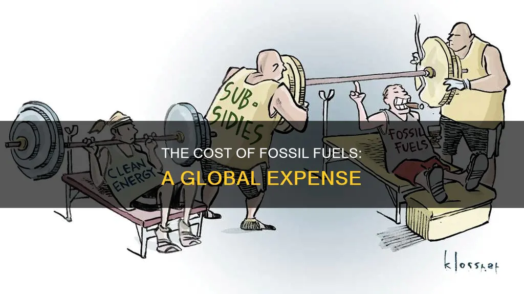 how much do we spend on fossil fuels
