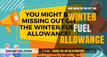 Winter Fuel Allowance: What's the Payout?