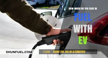 EVs: Fuel Savings and More