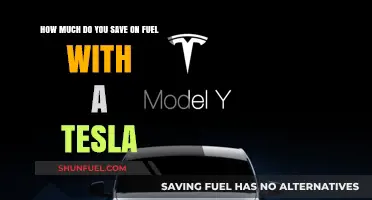 Savings on Fuel: Tesla's Electric Advantage