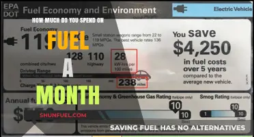 Fuel Expenses: Monthly Costs and Money-Saving Tips