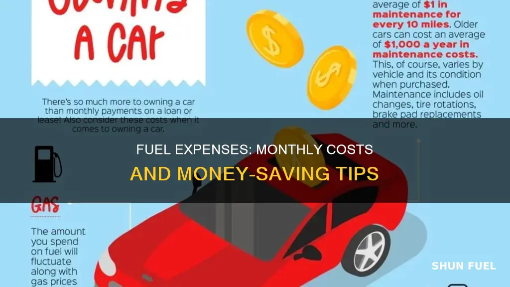 how much do you spend on fuel a month