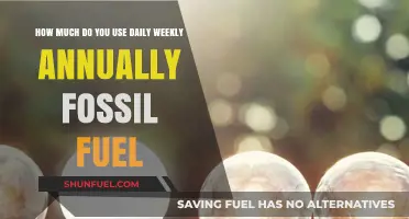 Fossil Fuel Usage: Daily, Weekly, and Annual Consumption