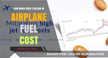 The High Cost of Aviation Fuel: Per Gallon Expense